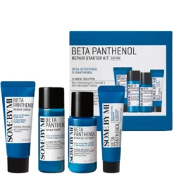 Beta Panthenol Repair Starter Kit