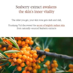 Black Tea Boosting Serum