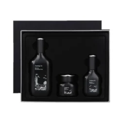Black Tea Line Gift Set