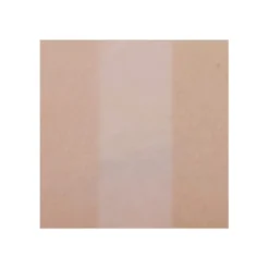 Brightening Cushion Compact Velvet Veil SPF50+ PA+++ (with refill)