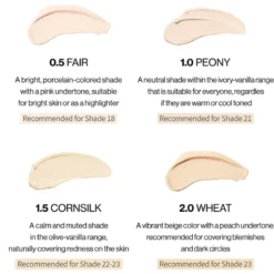 Bye Bye My Blemish Concealer SPF30 PA++