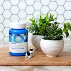 Collagen Water Full Moist Cream Ampoule