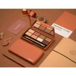Dailism Eye Palette Brick Brown