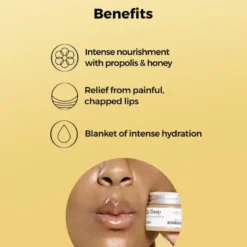 Full Fit Propolis Lip Sleeping Mask