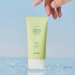 Heartleaf Calming Moisture Sun Cream SPF50+ PA++++