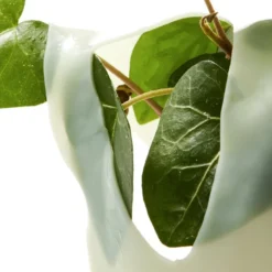 Heartleaf 70 Soothing Collagen Mask