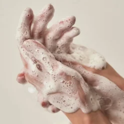 Heartleaf Succinic Moisture Cleansing Foam