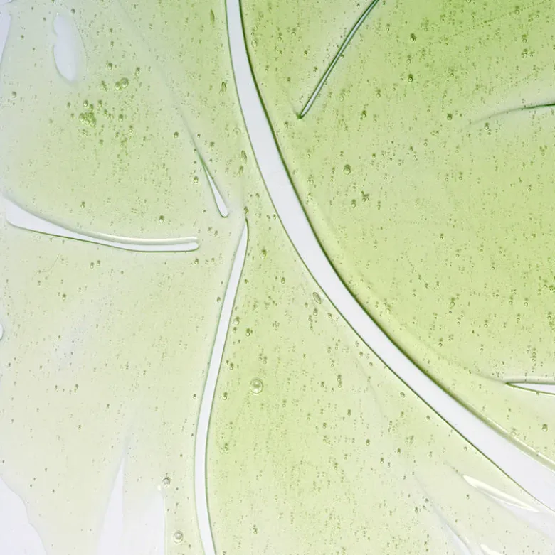 Herbalism Shampoo