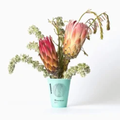 Honey Green Aqua Bomb Cream