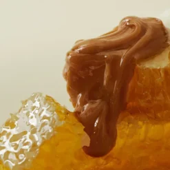 Honey Mask
