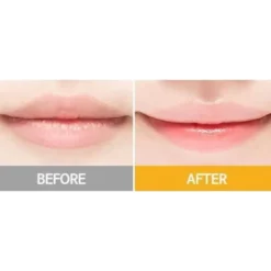 Honey & Milk Lip Balm