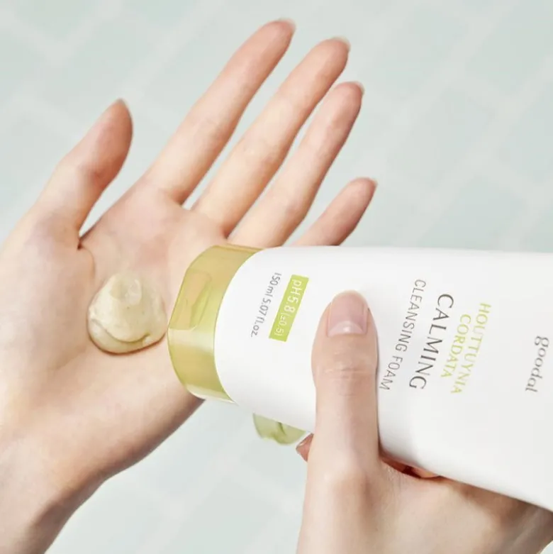 Houttuynia Cordata Calming Cleansing Foam