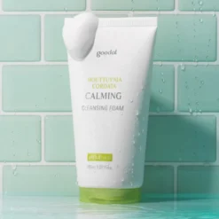 Houttuynia Cordata Calming Cleansing Foam