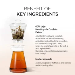 Houttuynia Cordata Calming Moisture Cream