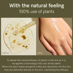 Houttuynia Cordata Serum