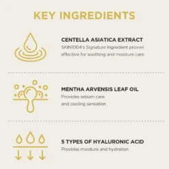 Madagascar Centella Watergel Sheet Ampoule Mask