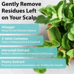 Mint Scalp Hair Vinegar
