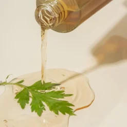 Mugwort Essence