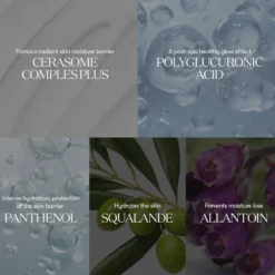 PDRN Essence 100