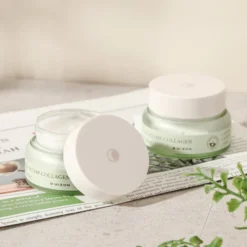 Phyto Plump Collagen Night Cream