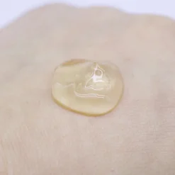 Propolis Serum