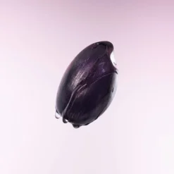 Purple Rice Pore Smoothing Cleansing Oil