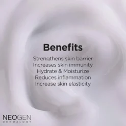 Real Ferment Micro Serum