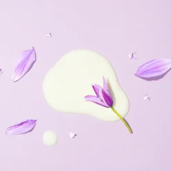 Retinol 0.1% Bakuchiol Cica Serum