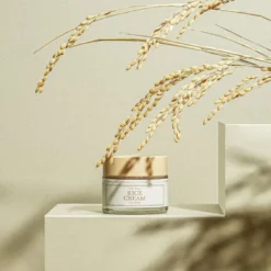 Rice Cream