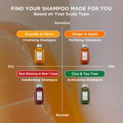 Root Re-Boot Shampoo