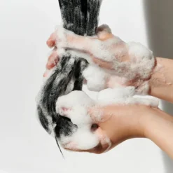 Scalp DX Scaling Shampoo