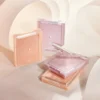 See-Through Veillighter