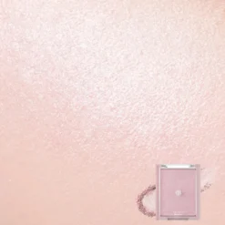 See-Through Veillighter