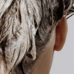 Shampoo Tea Tree Rosemary