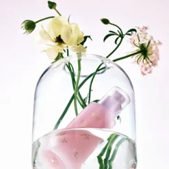 Skin Glow Essence; Vita Radiance