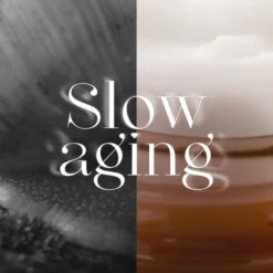 Snail Repair Eye Cream