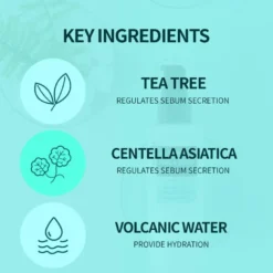Tea Tree Pore & Sebum Toner