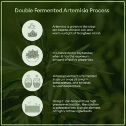 Time Revolution Artemisia Treatment Essence