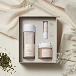 Vegan Kombucha Tea Special Set