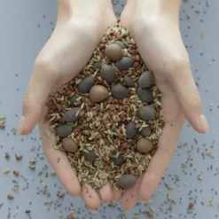Vital Treatment 9 Essential Seeds