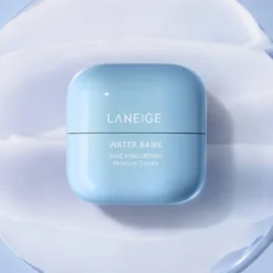 Water Bank Blue Hyaluronic Moisture Cream